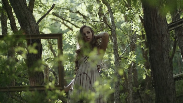 Video Reference: tree, nature, green, woodland, forest, woody plant, leaf, ecosystem, plant, branch, Person