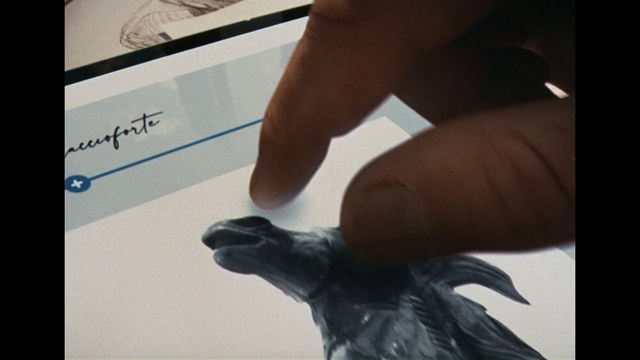 Video Reference: Bird, Gesture, Finger, Thumb, Nail, Feather, Font, Wrist, Electric blue, Beak