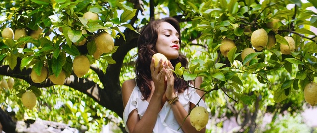 Video Reference: Beauty, Citrus, Tree, Plant, Fruit, Branch, Photo shoot, Photography, Grapefruit, Pomelo