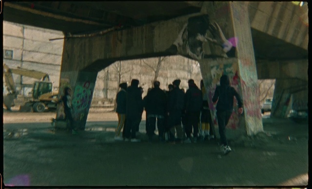 Video Reference: Snapshot, Design, Games, Organism, Fun, Photography, Adaptation, Architecture, Art, Visual arts