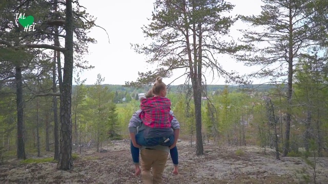 Video Reference: Wilderness, Tree, Natural environment, Trail, Forest, Recreation, Woodland, Adventure, Walking, Plant