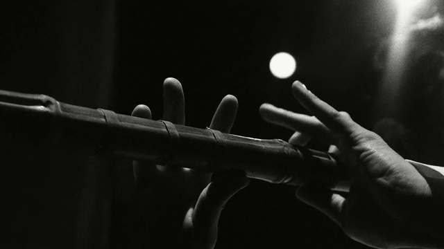 Video Reference: black and white, monochrome photography, hand, darkness, string instrument, monochrome, weapon, firearm, microphone, musical instrument