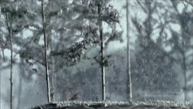 Video Reference: snow, tree, winter, freezing, frost, woodland, branch, forest, rain and snow mixed, winter storm, Person