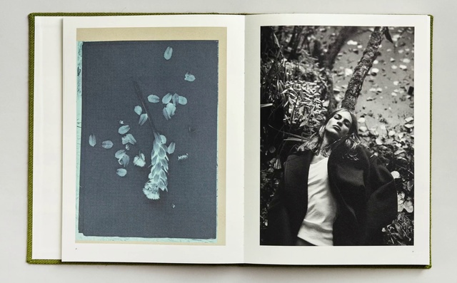 Video Reference: White, Black, Black-and-white, Tree, Leaf, Monochrome photography, Picture frame, Room, Plant, Photography