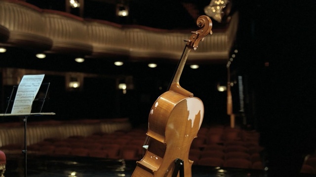 Video Reference: string instrument, musical instrument, string instrument, guitar, music, musical instrument accessory, plucked string instruments, bowed string instrument, double bass, musician, Person