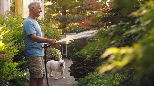 Video Reference: vertebrate, plant, tree, garden, grass, yard, backyard, lawn, shrub, dog like mammal
