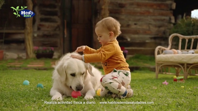 Video Reference: Dog, People in nature, Grass, Happy, Carnivore, Ball, Toddler, Dog breed, Leisure, Companion dog