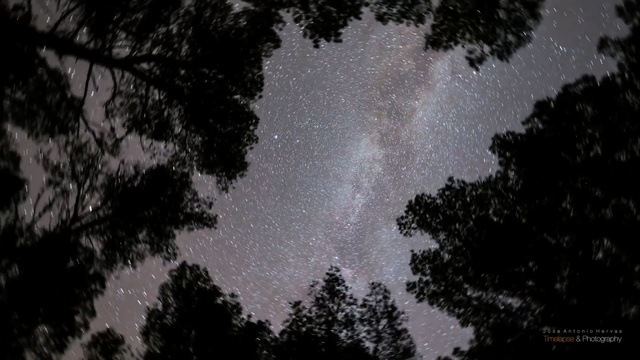 Video Reference: sky, nature, black, atmosphere, astronomical object, night, darkness, galaxy, tree, universe