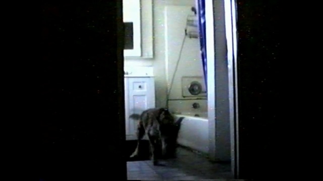 Video Reference: property, structure, darkness, snapshot, architecture, window, lighting, house, door, sky