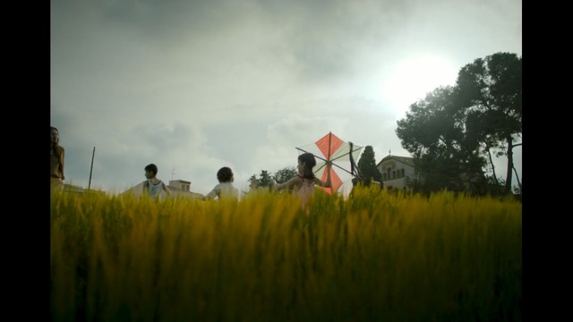 Video Reference: People in nature, Nature, Photograph, Grassland, Green, Sky, Field, Yellow, Grass, Meadow