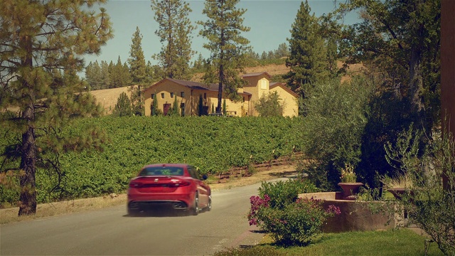 Video Reference: Plant, Vehicle, Tire, Car, Land vehicle, Wheel, Sky, Automotive lighting, Light, Motor vehicle
