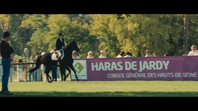 Video Reference: Horse, Animal sports, Mammal, Sports, Bridle, Vertebrate, English riding, Eventing, Equestrianism, Halter