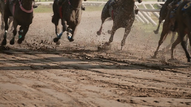 Video Reference: animal sports, sand, pack animal, soil, mud, greyhound racing, landscape, ecoregion, horse like mammal, jockey, Person