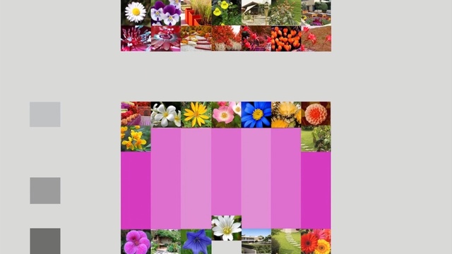 Video Reference: text, yellow, flora, collage, purple, flower, graphic design, design, art, font