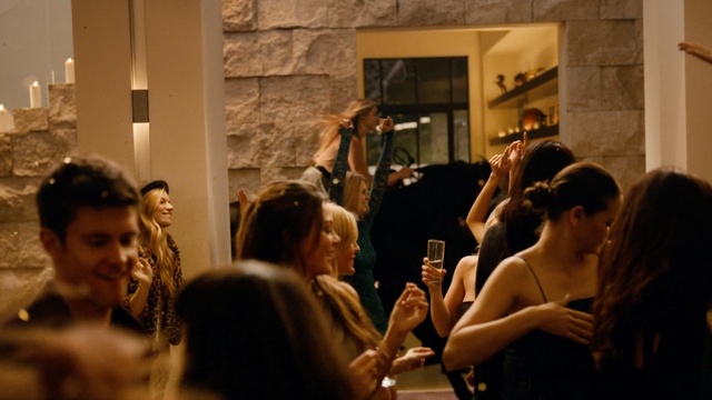 Video Reference: Crowd, Event, Fun, Art, Conversation, Party, Night, Audience, Performance, Person