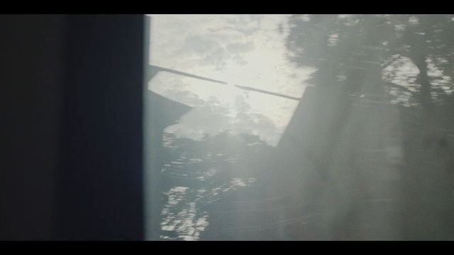 Video Reference: Atmospheric phenomenon, Light, Atmosphere, Sky, Tree, Water, Sunlight, Photography, Forest, Black-and-white