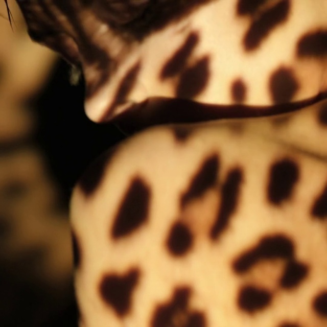 Video Reference: Pattern, Close-up, Dalmatian, Brown, Design, Snout, Non-sporting group, Fur, Canidae, Whiskers, Animal, Indoor, Looking, Close, Mouth, Sitting, Black, Front, Standing, Dog, Cat, Head, Cake, Teeth, White, Giraffe, Mollusk, Closeup, Cowrie