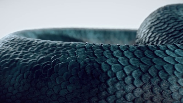 Video Reference: Blue, Green, Turquoise, Aqua, Teal, Close-up, Azure, Macro photography, Electric blue, Textile