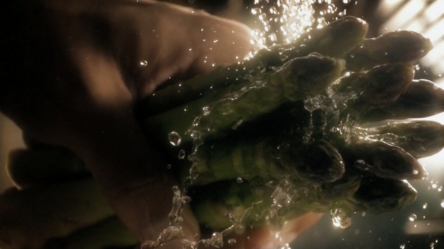 Video Reference: Water, Nature, Sky, Organism, Smoke, Macro photography, Space, Darkness, Night, Fictional character