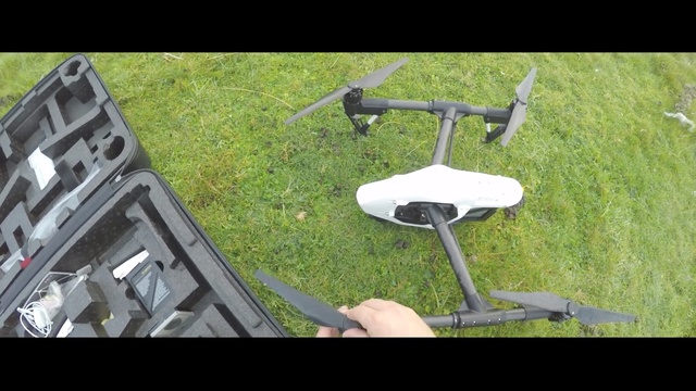 Video Reference: ecosystem, mode of transport, grass, lawn, tree