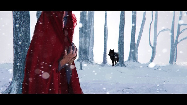 Video Reference: Natural environment, People in nature, Snow, Branch, Tree, Organism, Freezing, Tints and shades, Geological phenomenon, Fun