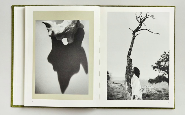 Video Reference: Tree, Branch, Picture frame, Room, Black-and-white, Photographic paper, Art, Plant, Photography, Twig, Person