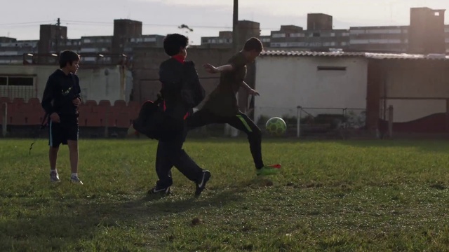 Video Reference: Grass, Sports training, Player, Lawn, Grassland