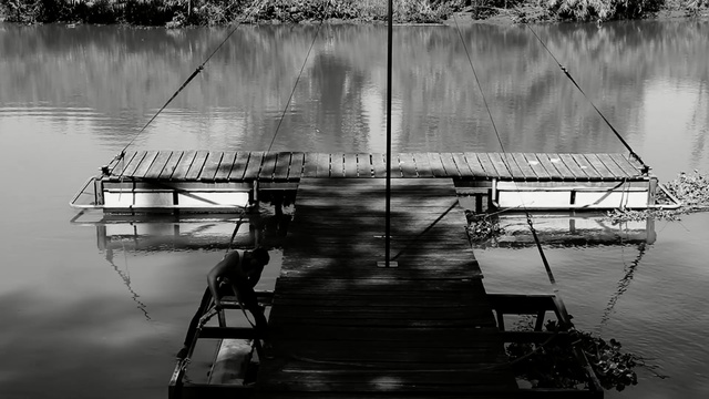 Video Reference: reflection, water, black and white, monochrome photography, photography, calm, monochrome, tree, dock, sky