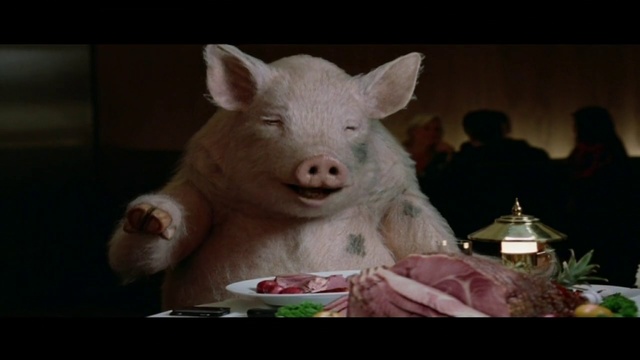 Video Reference: Mammal, Domestic pig, Vertebrate, Suidae, Head, Nose, Snout, Skin, Organism, Photography
