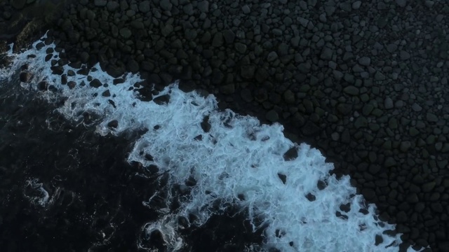 Video Reference: Water, Black, Organism, Person