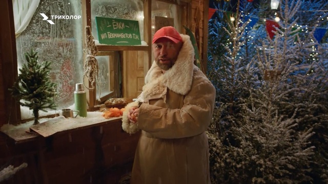 Video Reference: Snow, Winter, Tree, Christmas, Christmas eve, Plant, Freezing, Fur, Smile, Pine family