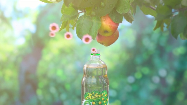 Video Reference: Green, Bottle, Drink, Glass bottle, Leaf, Tree, Plant, Plastic bottle, Soft drink, Glass, Person
