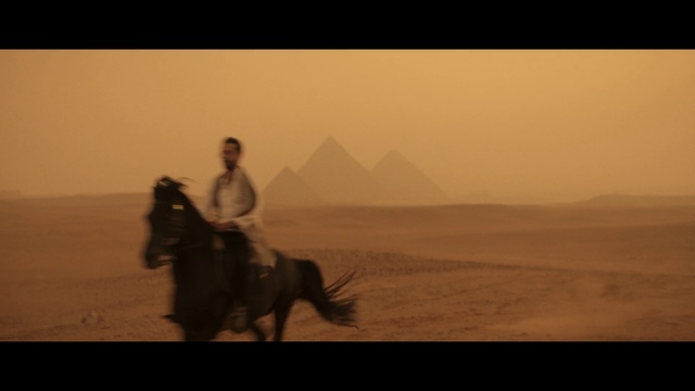 Video Reference: Horse, Natural environment, Desert, Rein, Ecoregion, Landscape, Sahara, Sky, Stallion, Stock photography