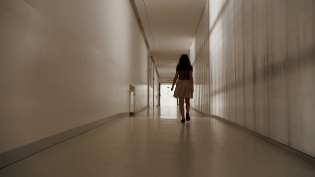 Video Reference: Floor, Line, Architecture, Flooring, Tourist attraction, Ceiling, Stock photography, Art, Symmetry, Visual arts, Person