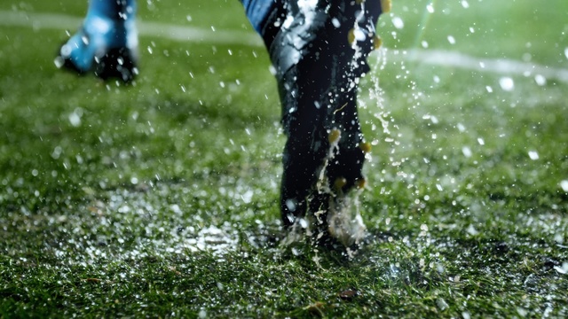 Video Reference: Water, Grass, Lawn, Plant, Rain, Football