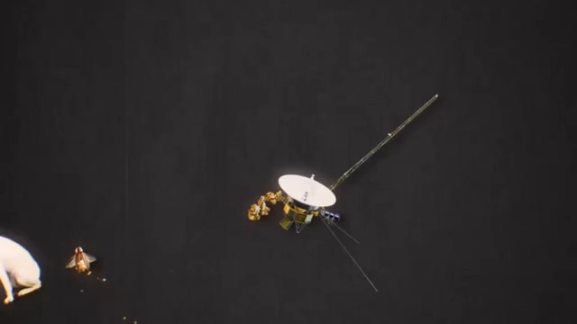 Video Reference: Insect, Photography, Space, Macro photography, Pest, Still life photography