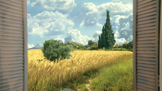 Video Reference: field, landscape, grass, meadow, sky, hay, rural, farm, agriculture, tree, summer, countryside, plant, country, Person