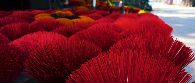 Video Reference: Red, Textile, Magenta, Plant, Coquelicot, Flower