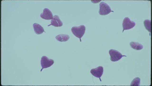 Video Reference: purple, violet, lilac, lavender, petal, flower, heart, sky