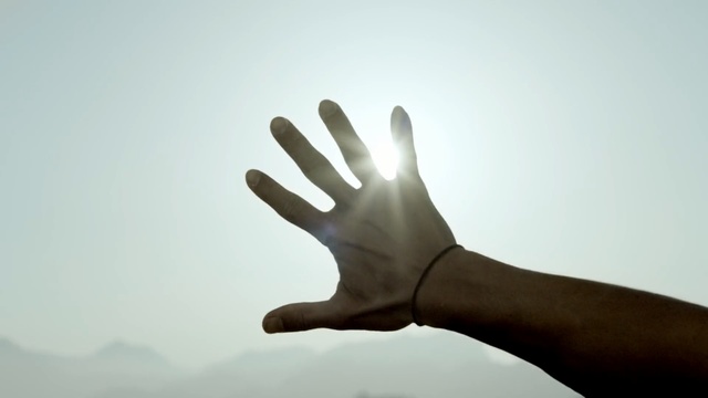 Video Reference: finger, hand