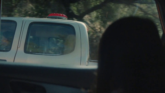 Video Reference: Vehicle door, Automotive exterior, Vehicle, Mode of transport, Car, Windshield, Tree, Automotive mirror, Automotive lighting, Automotive window part