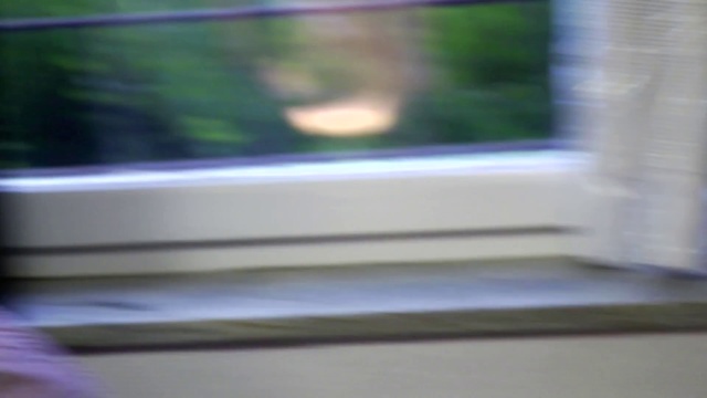 Video Reference: Daylighting, Window, House, Hardwood, Room, Wood, Glass, Door