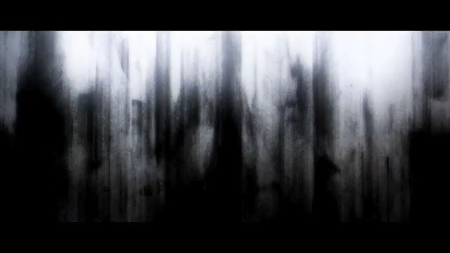 Video Reference: black, black and white, monochrome photography, darkness, water, atmosphere, monochrome, tree, forest, icicle