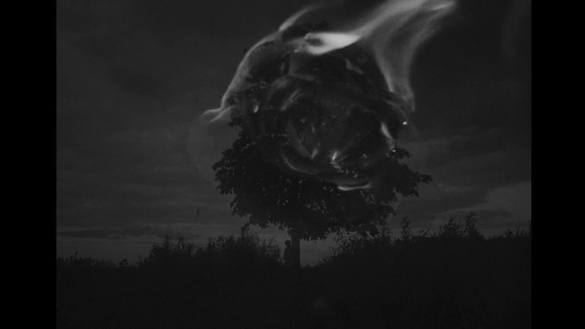 Video Reference: Black, Monochrome photography, Black-and-white, Photograph, Sky, Monochrome, Darkness, Atmosphere, Photography, Stock photography