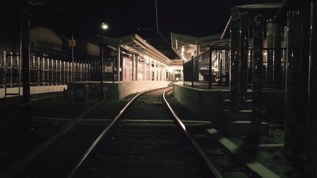 Video Reference: track, night, transport, train station, darkness, light, public transport, metropolitan area, reflection, atmosphere