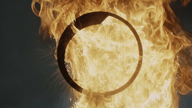 Video Reference: close up, organism, computer wallpaper, snout, macro photography, Person