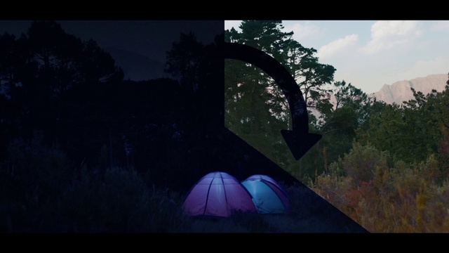 Video Reference: Sky, Light, Biome, Atmosphere, Screenshot, Morning, Tree, Organism, Photography, World