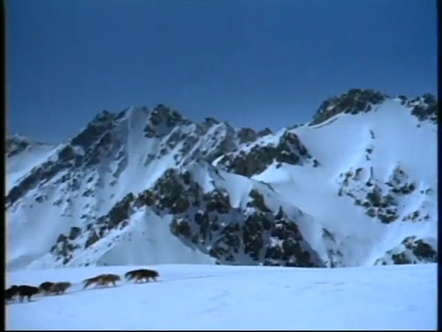 Video Reference: mountain range, nature, sky, mountainous landforms, mountaineering, ecosystem, mountain, massif, piste, snow, Person