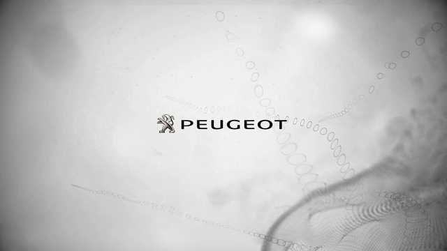 Video Reference: white, black and white, monochrome photography, photography, sky, monochrome, close up, still life photography, font, stock photography