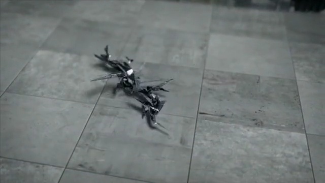Video Reference: Floor, Flooring, Black-and-white, Tile, Insect, Fictional character